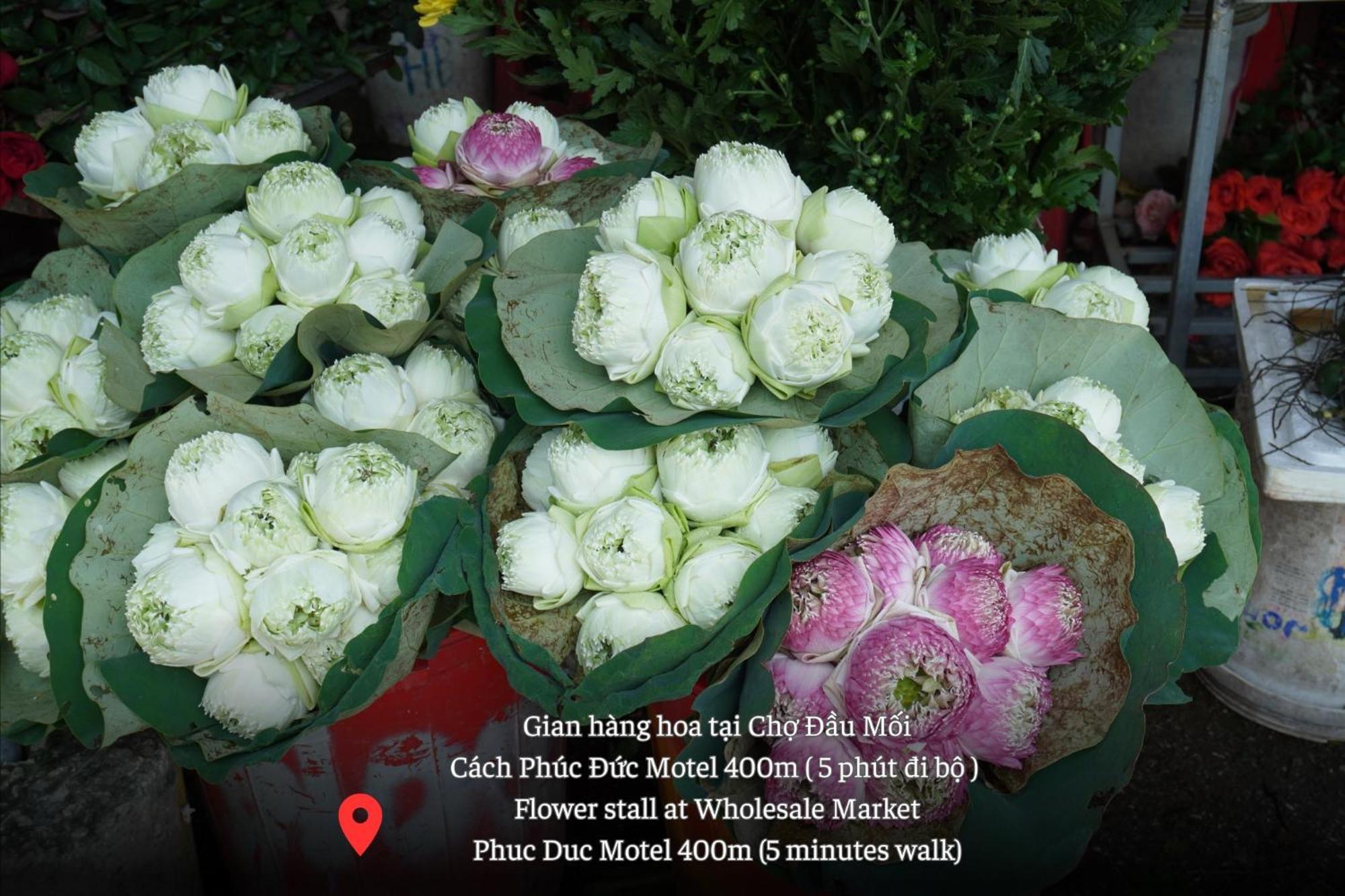 Phuc Duc Hotel Thanh Hóa エクステリア 写真